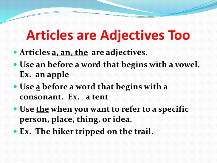Article Adjectives Examples