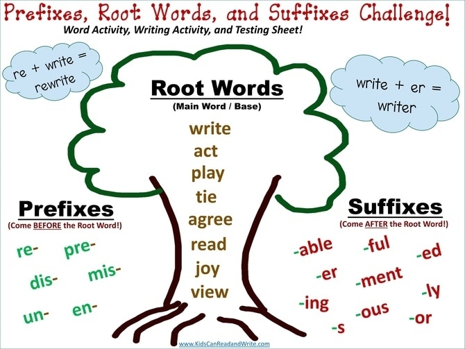 root word vs word root