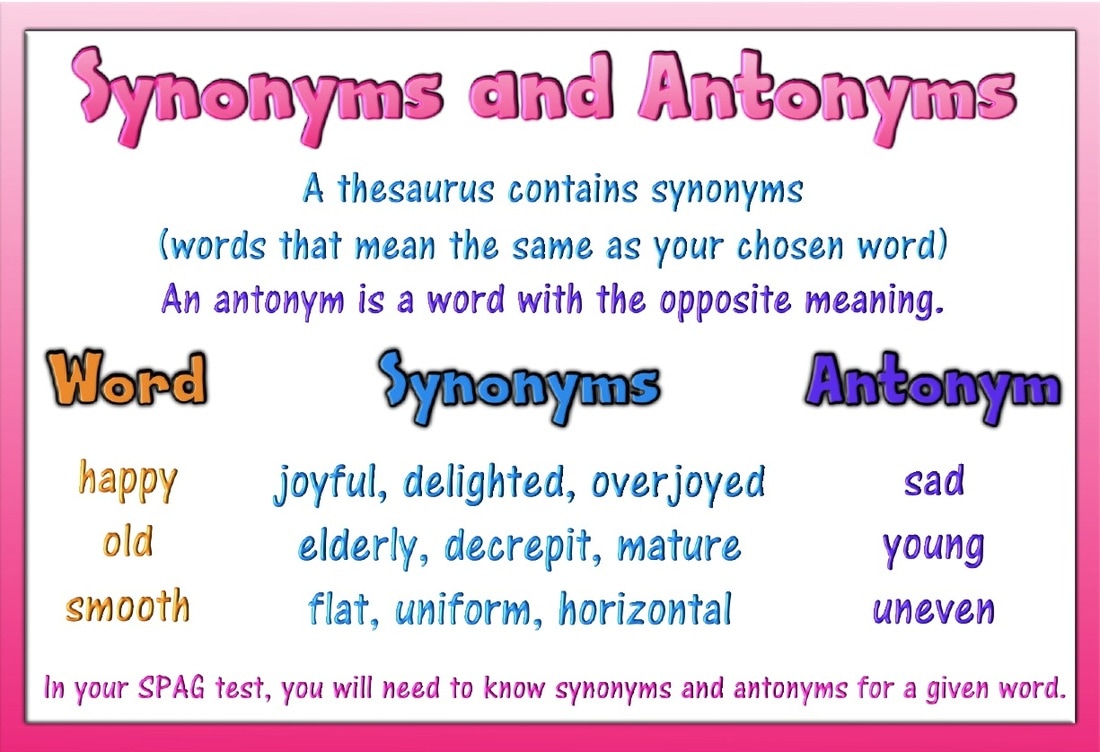what is a synonym